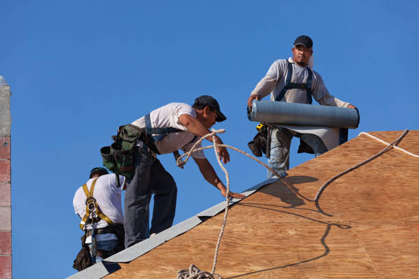 Best Roof Repair Services  in Lyndonville, VT